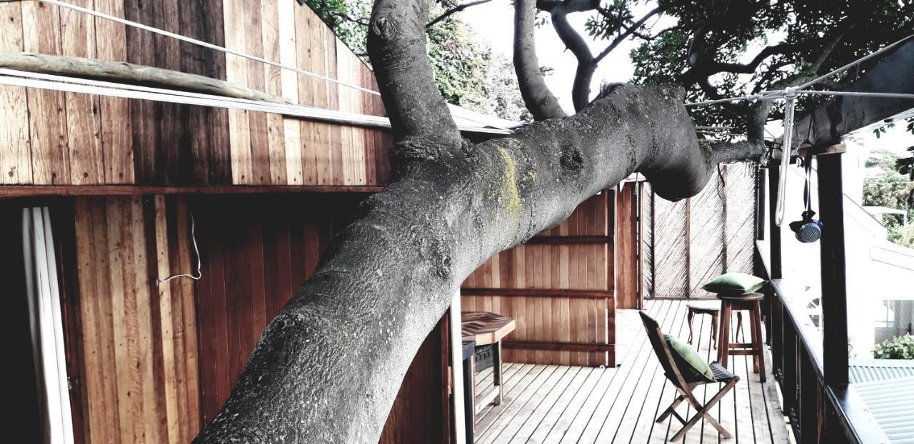 Scarborough Nature Lodge Cape Town Eksteriør bilde